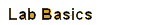 Basic Lab Safety Guidelines, MSDS links