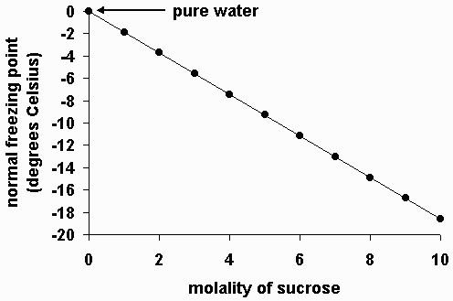 sucrose lewis structure. containing sucrose (a