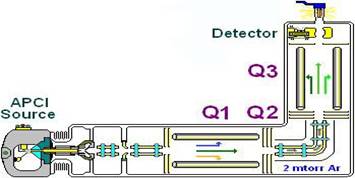 asms05fig1