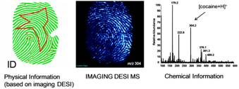 cooks-fingerprint