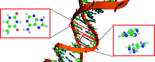 DNA Closeup