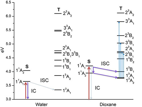 Singlet and triplet states of para-nitroaniline