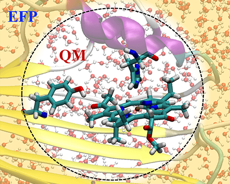 Embedding models for describing electronic structure in condensed phases