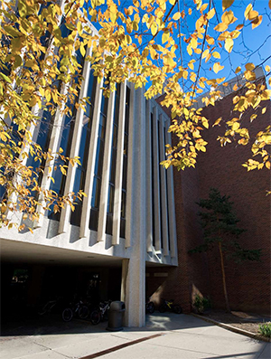 Autumn photo of Chemistry bridge