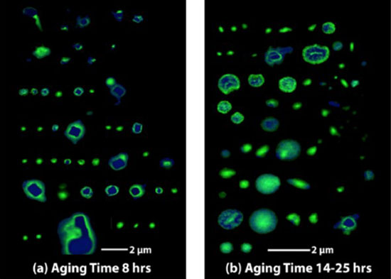 Chemical imaging maps of individual marine particles