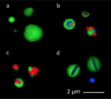 individual particles with various internal composition 