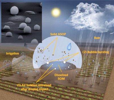 Atmospheric soil organic particles emitted after rains