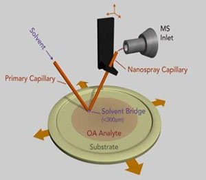 Schematics of the sample introduction and ionization setups