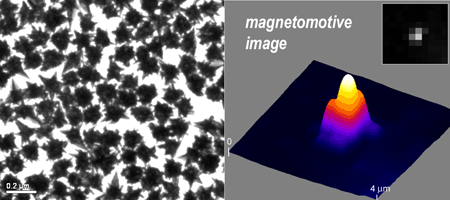 Magnetomotive image