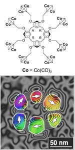 self-assembly & growth of magnetic nanorings