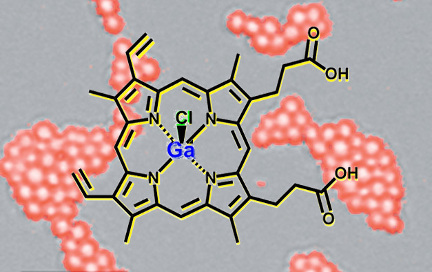 functional surfaces for pathogen detection & targeting