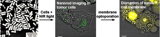 nanomedicine