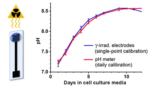 radiation-tolerant pH electrode