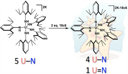 Exploration of the Interconversion of Uranium Anilido and Imido Species