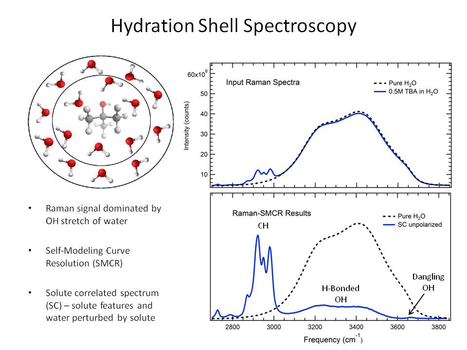 Hydration Shell Spectroscopy graphs