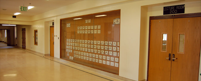 Hallway Former Display