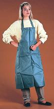 apron.jpg (5101 bytes)