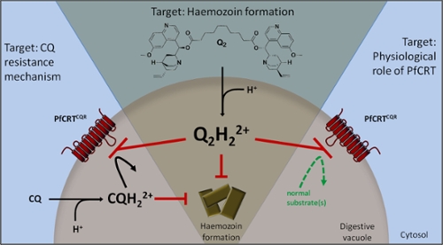 PfCRT Inhibition