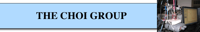 choi banner