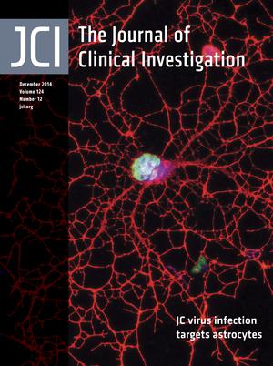 JCI_124-12-cover.jpg