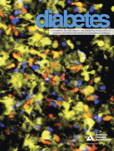diabetes_66_11.jpg