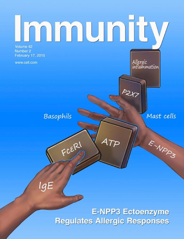 immunity_42_2.jpg