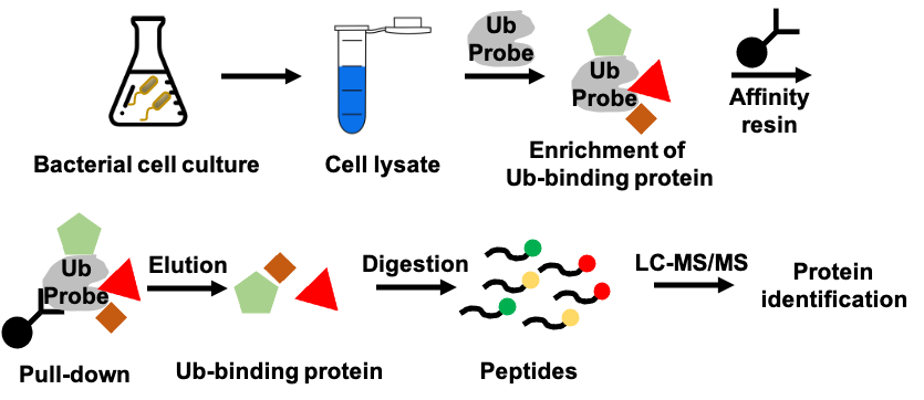 Proteomics