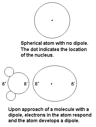 Induced dipole image