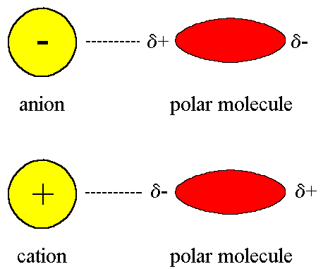 Ion Dipole Forces