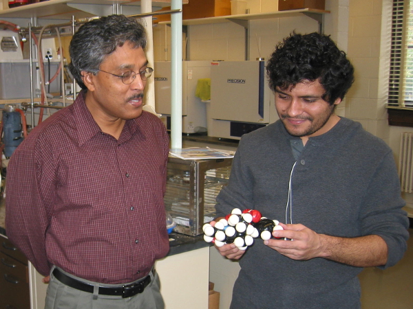 Professor Ghosh and Sarang