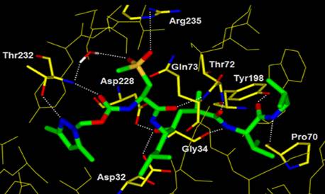 X-ray Crystal Structure for Alzheimer's Disease Research