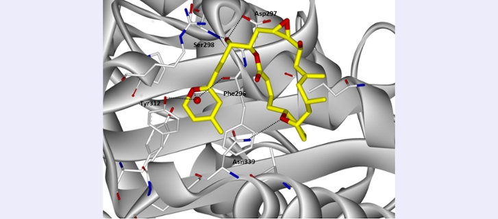 Total Synthesis of Natural Products