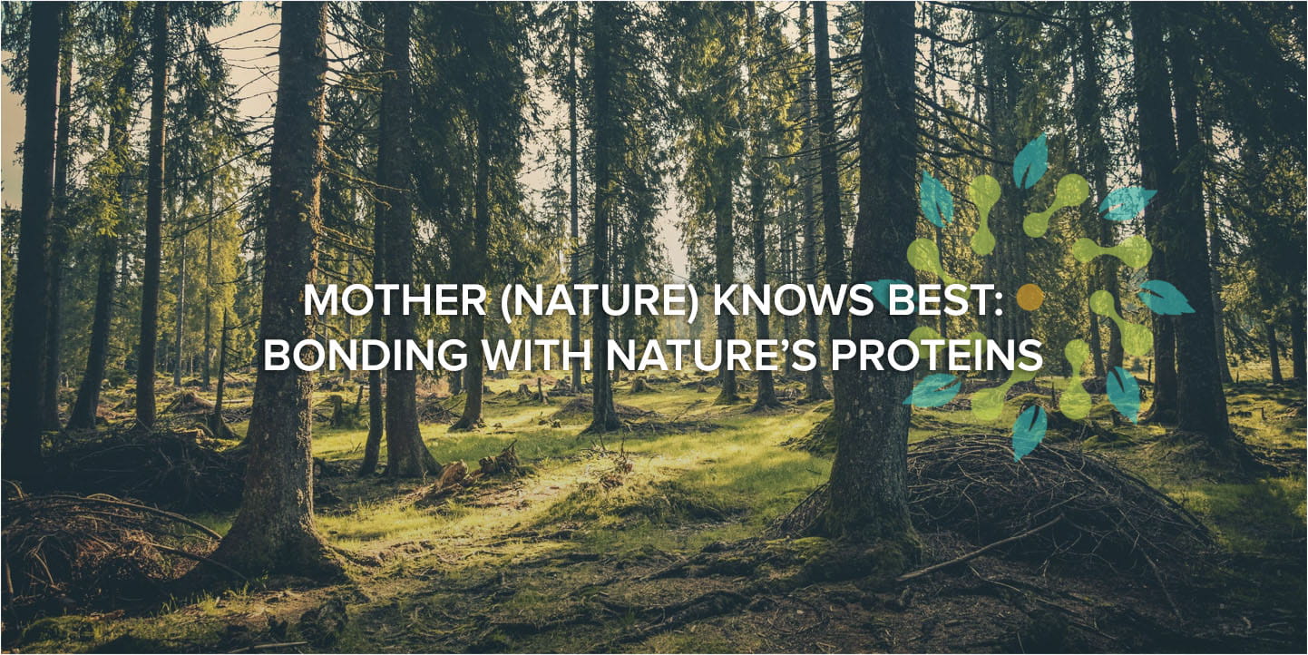 Mother (Nature) Knows Best: Bonding with nature's proteins