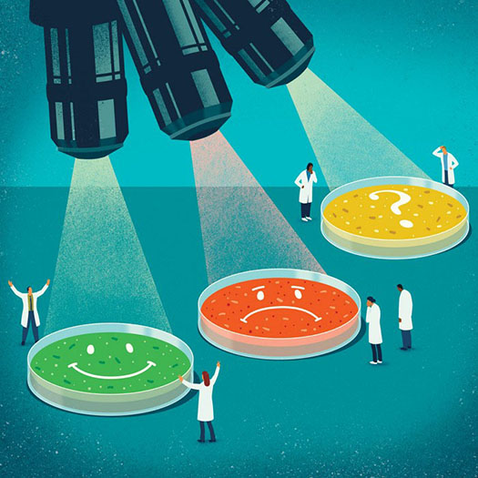 A conceptual illustration of a microscope with three lenses, shining on three petri dishes, colored green, yellow, or red. The green dish has a smiley face, the red a frown face, and the yellow a question mark.