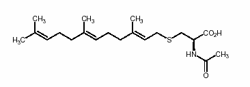 Ras Caax protein