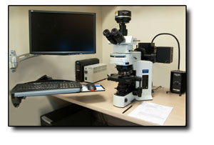 Olympus Microscope