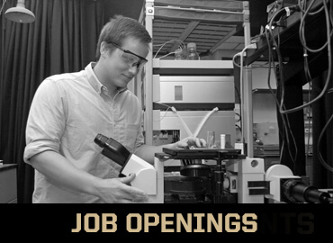 Job Openings