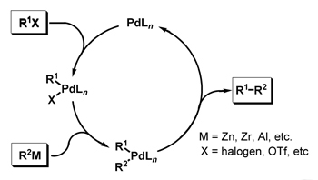 Negishi Coupling