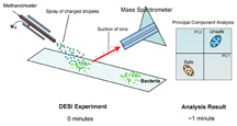 Illustration of DESI technique