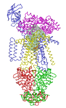 Conformation of proteins