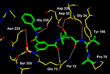 X-ray crystal structure