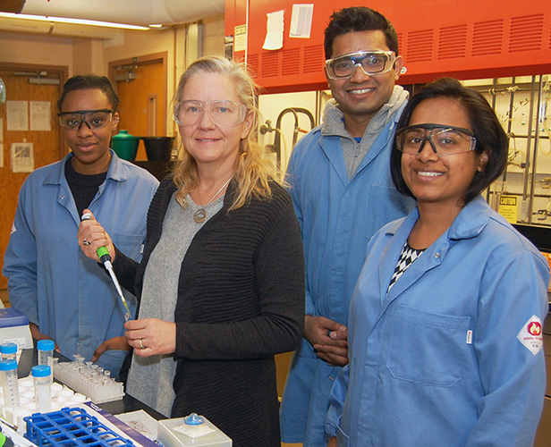 Chemistry professor Jean Chmielewski mentors students in her lab.