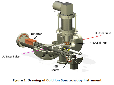 Cold Ion Spectroscopy