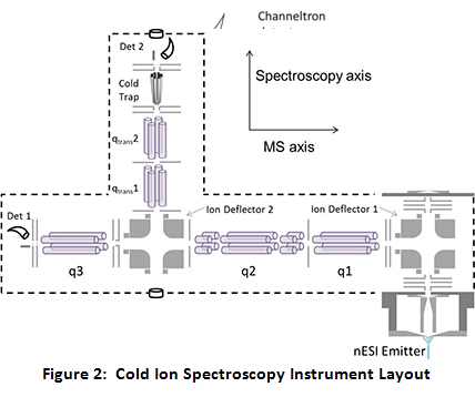 Cold Ion Spectroscopy