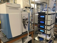 Q-Exactive HF-X Orbitrap Mass Spectrometer