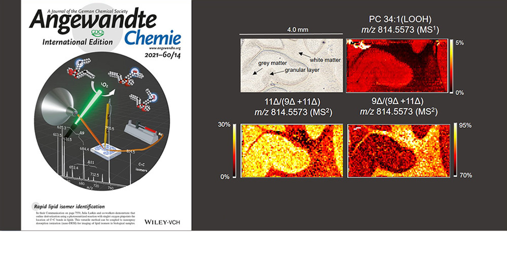 Nano-DESI imaging of isomeric lipids via online photochemical derivatization of C=C Bonds