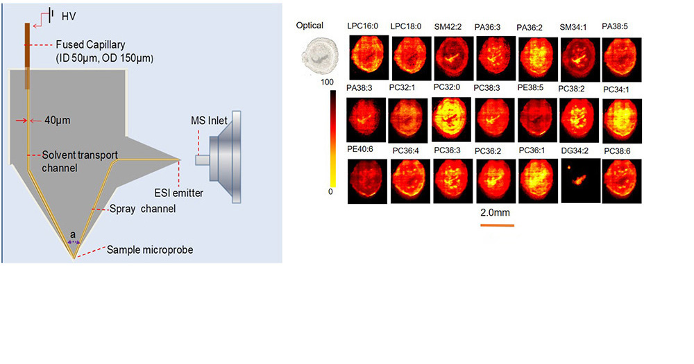 Development of Micro-fluidic Nano-DESI Probe