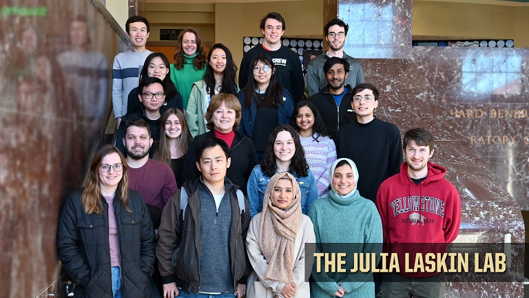 J. Laskin Lab 2024 Group Photo