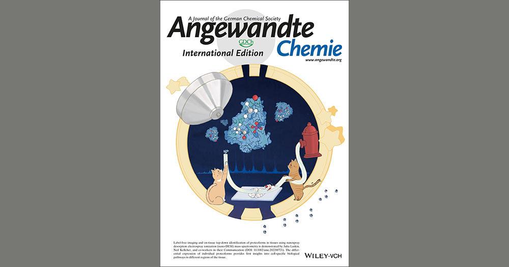 Journal article in Angewandte Chemie