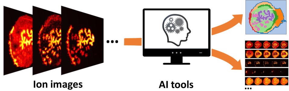 A combination of ion images and AI tools allows us to understand the data better.